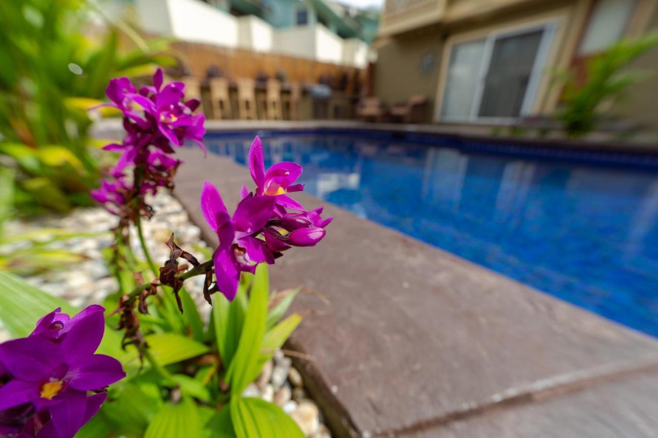 Studio With Mini Kitchen, Pool And Bbq, Pre-Renovation Summer Sale Kihei Exteriér fotografie