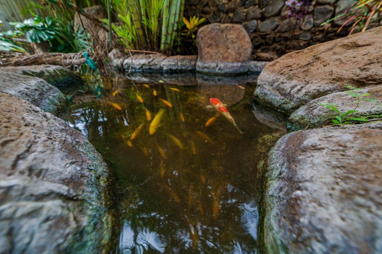 Studio With Mini Kitchen, Pool And Bbq, Pre-Renovation Summer Sale Kihei Exteriér fotografie